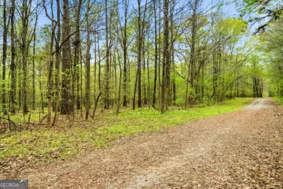 120 Michael Court, Fayetteville, GA 30215 - Photo 35