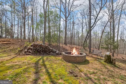 234 Old River Road, Cornelia, GA 30531 - Photo 33