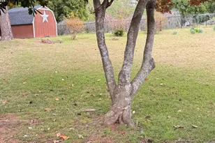 106 Johnston Dr, Thomaston, GA 30286 - Photo 19