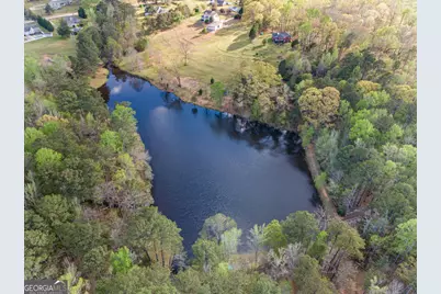 20 Dads Walk, Newnan, GA 30263 - Photo 73