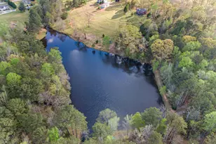 20 Dads Walk, Newnan, GA 30263 - Photo 73