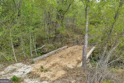 3341 Worth Co Line Road, Albany, GA 31705 - Photo 95