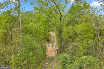 3341 Worth Co Line Road, Albany, GA 31705 - Photo 97