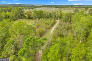 3341 Worth Co Line Rd, Albany, GA 31705 - Photo 89