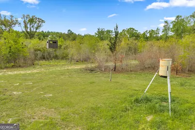 3341 Worth Co Line Road, Albany, GA 31705 - Photo 87