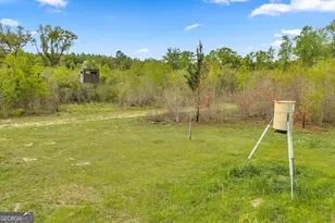 3341 Worth Co Line Rd, Albany, GA 31705 - Photo 87