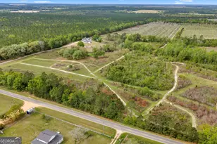 3341 Worth Co Line Rd, Albany, GA 31705 - Photo 79