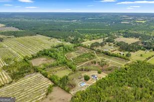 3341 Worth Co Line Rd, Albany, GA 31705 - Photo 71