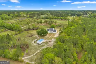 3341 Worth Co Line Rd, Albany, GA 31705 - Photo 65
