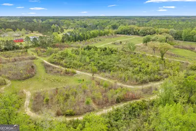 3341 Worth Co Line Road, Albany, GA 31705 - Photo 81