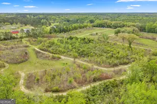 3341 Worth Co Line Rd, Albany, GA 31705 - Photo 81