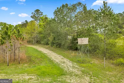 3341 Worth Co Line Road, Albany, GA 31705 - Photo 83