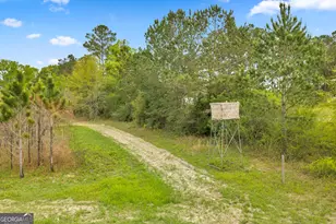 3341 Worth Co Line Rd, Albany, GA 31705 - Photo 83