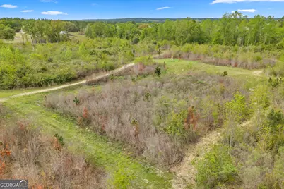 3341 Worth Co Line Road, Albany, GA 31705 - Photo 85