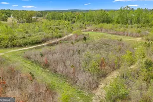 3341 Worth Co Line Rd, Albany, GA 31705 - Photo 85