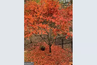 172 Star Mountain Drive, Clayton, GA 30525 - Photo 55