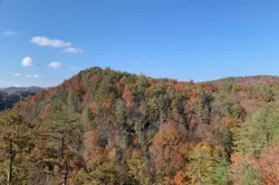 172 Star Mountain Dr, Clayton, GA 30525 - Photo 47