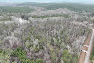 177 Rock Creek Rd, Flovilla, GA 30216 - Photo 5