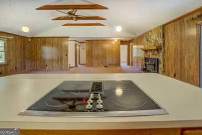 7374 Highway 212 W, Monticello, GA 31064 - Photo 27