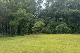 500 McCain Creek Trail, Stockbridge, GA 30281 - Photo 1