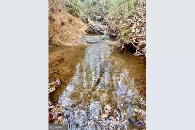 301 Highway 5 East, Roopville, GA 30170 - Photo 67