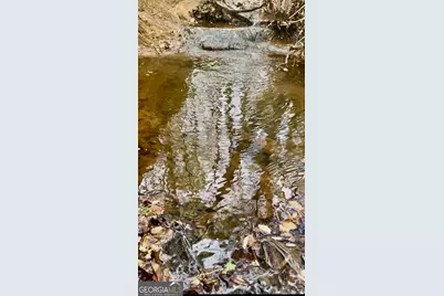 301 Highway 5 East, Roopville, GA 30170 - Photo 69