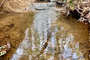 301 Hwy 5 E, Roopville, GA 30170 - Photo 59