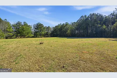 50 Giles Drive, McDonough, GA 30252 - Photo 19