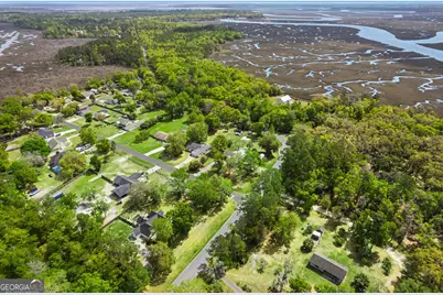 469 Sheffield Island Road, Woodbine, GA 31569 - Photo 39