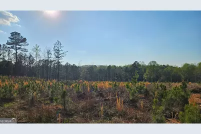 0 Shiloh Road, Greensboro, GA 30642 - Photo 7