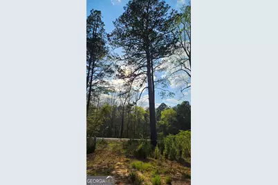 0 Shiloh Road, Greensboro, GA 30642 - Photo 1