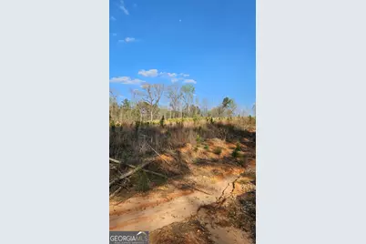 0 Shiloh Road, Greensboro, GA 30642 - Photo 11