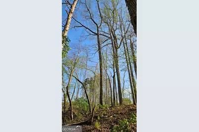 0 Shiloh Road, Greensboro, GA 30642 - Photo 5