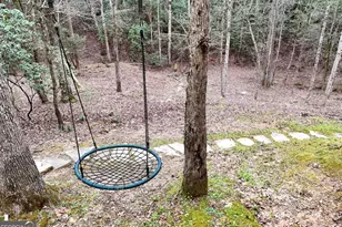 2587 Goose Island Rd, Cherrylog, GA 30552 - Photo 63