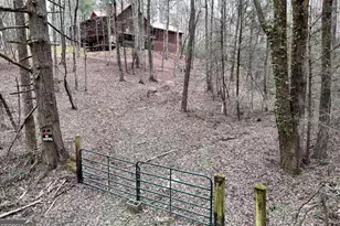 2587 Goose Island Rd, Cherrylog, GA 30552 - Photo 53