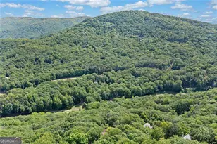 816 Alpine Dr, Jasper, GA 30143 - Photo 39