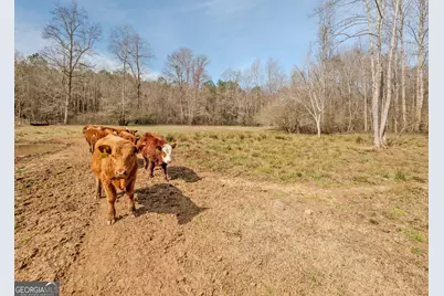 1363-A McFarlin Bridge 25 Acres, Carnesville, GA 30521 - Photo 57