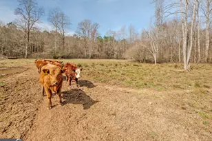 1363-A McFarlin Bridge 25 Acres, Carnesville, GA 30521 - Photo 57