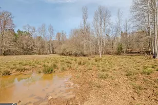 1363-A McFarlin Bridge 25 Acres, Carnesville, GA 30521 - Photo 59