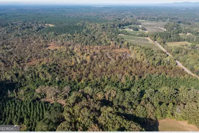 0 Livingston Rd, Rome, GA 30161 - Photo 5