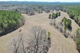 0 Livingston Rd, Rome, GA 30161 - Photo 1