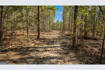 1239 Livingston Road, Rome, GA 30161 - Photo 7