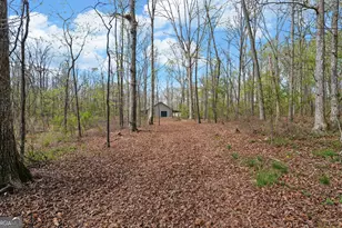 197 Woodland Way, Dewy Rose, GA 30634 - Photo 69