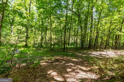 0 Gene Bell Road, Monroe, GA 30655 - Photo 5