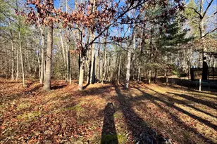 338 Honaker Rd, Blairsville, GA 30512 - Photo 37