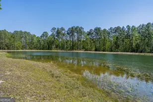 3642 Tanner Ln, Waycross, GA 31503 - Photo 13