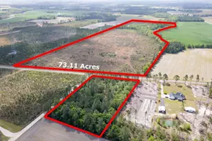 001 Piney Grove Church Rd, Baxley, GA 31513 - Photo 1