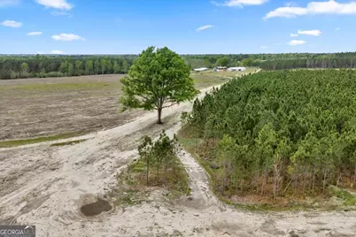 2542 Ga Highway 46, Soperton, GA 30457 - Photo 23
