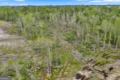 2542 Ga Highway 46, Soperton, GA 30457 - Photo 21