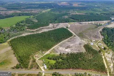 2542 Ga Highway 46, Soperton, GA 30457 - Photo 3